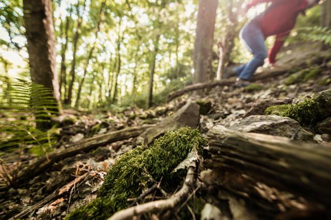 Outdoor Fotografie - Obermoschel OM_003