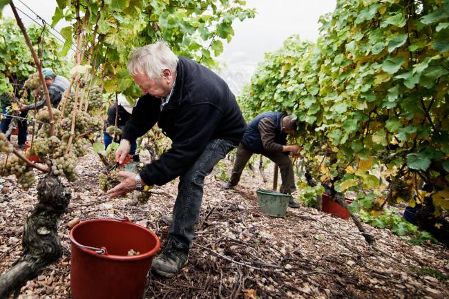 Beiser - Fotografie BEISER_004