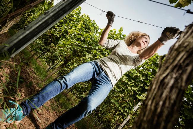 Weik - Produktfotografie, Wein Fotografie WEIK_09_2017