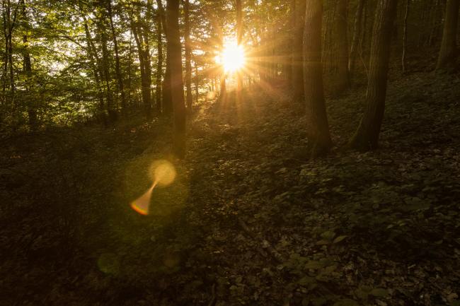 Outdoor Fotografie - Obermoschel OM_010