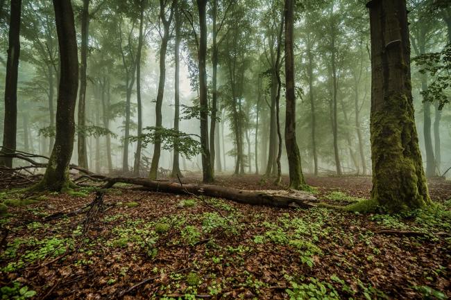 Landscapes - Landschaftsfotografie LAND_011