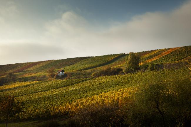 Beiser - Fotografie BEISER_007