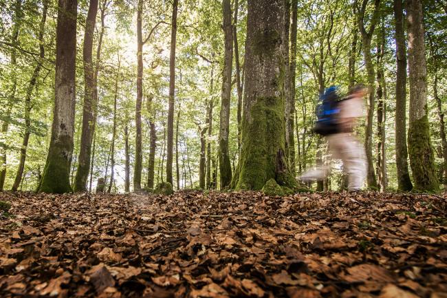 Fotos von Menschen - Hunsrück NPH_006