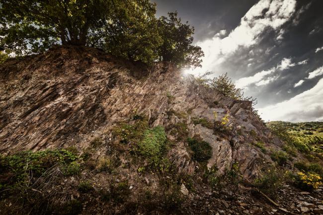 Wein Bilder - Mythos Mosel MM_003