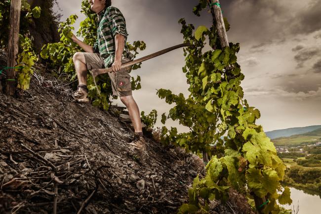 Wein Bilder - Mythos Mosel MM_005_Weinfotografie