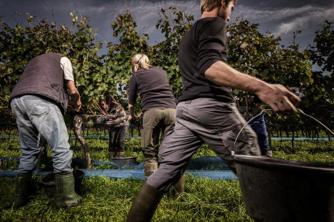 Architektur Fotografie - Black Print BP_013