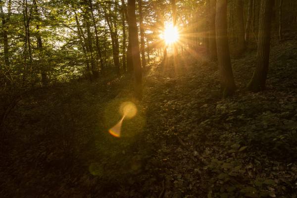 Landscapes - Landschaftsfotografie