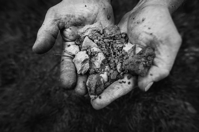 Referenz Weingut BAMBERGER - Produktfotografie WEINGUT_BAMBERGER_05_2017