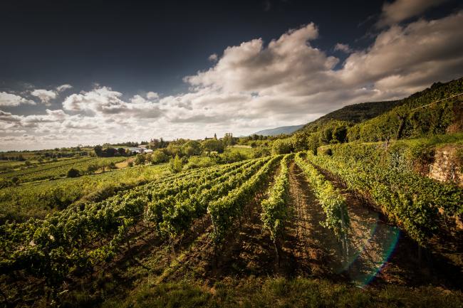 Weik - Produktfotografie, Wein Fotografie WEIK_06_2017