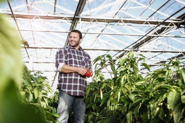 Mvv Energie Peoplefotografie MVV_003