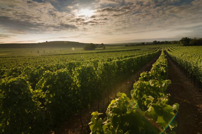 Architektur Fotografie - Black Print BP_012