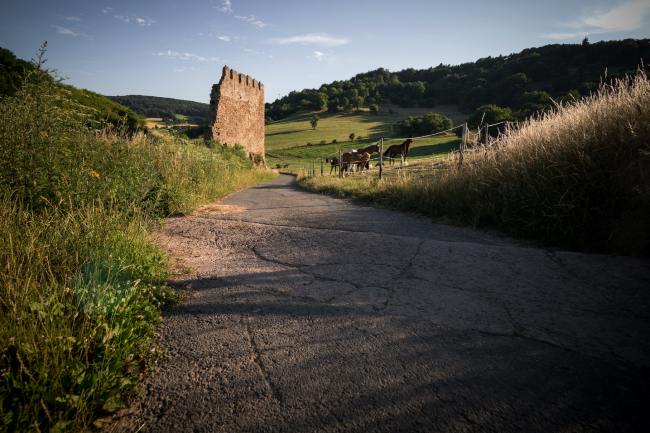 Outdoor Fotografie - Obermoschel OM_009