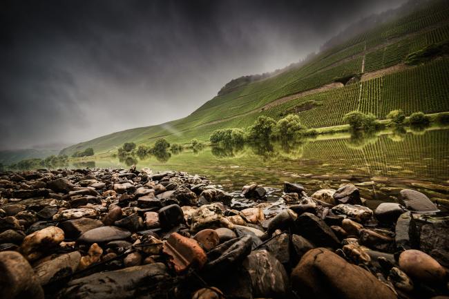 Wein Bilder - Mythos Mosel MM_004