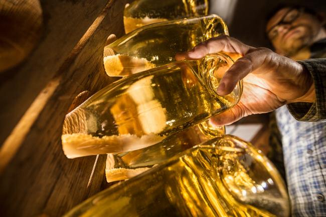 Referenz Weingut BAMBERGER - Produktfotografie WEINGUT_BAMBERGER_08_2017