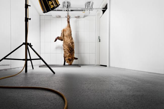 Foodfotografie - Die Wildkammer WK_003