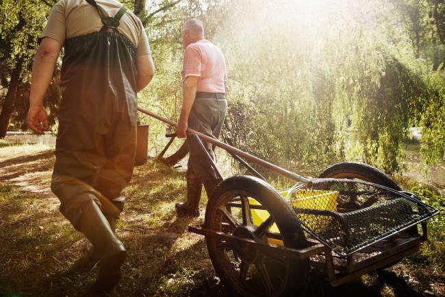 Forellenhof Kirn - Fotografie FORELLE_003