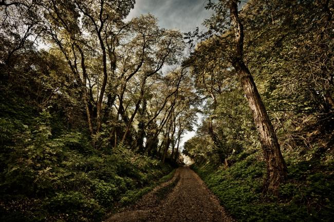 Landscapes - Landschaftsfotografie LAND_002_Landschaftsfotografie