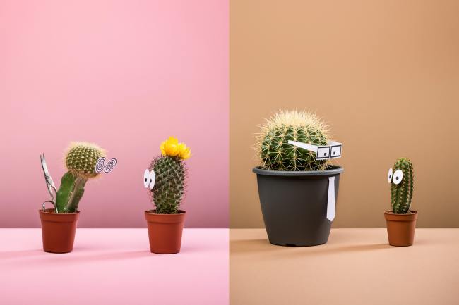 Stills - Stilllifefotografie STILL_004_Stilllifefotografie