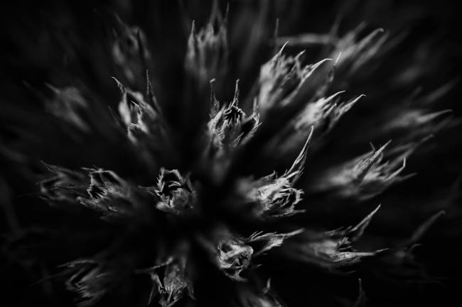 Stills - Stilllifefotografie STILL_008