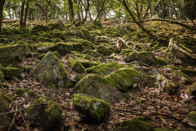 Fotos von Menschen - Hunsrück NPH_005