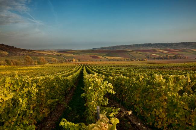 Beiser - Fotografie BEISER_006