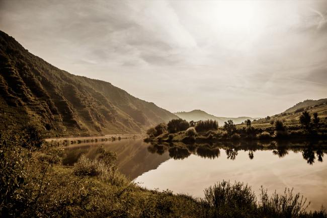Wein Bilder - Mythos Mosel MM_009