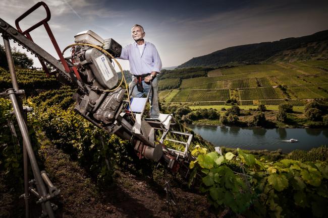 Wein Bilder - Mythos Mosel MM_002_Weinfotografie