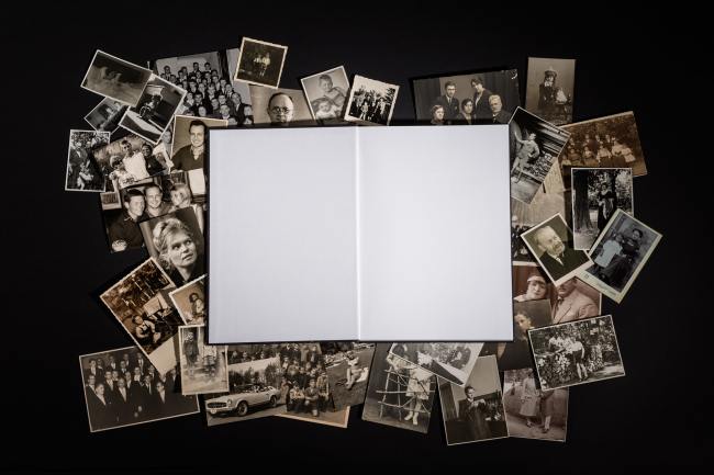 Waldpark - Fotografie WALDPARK_05_2017