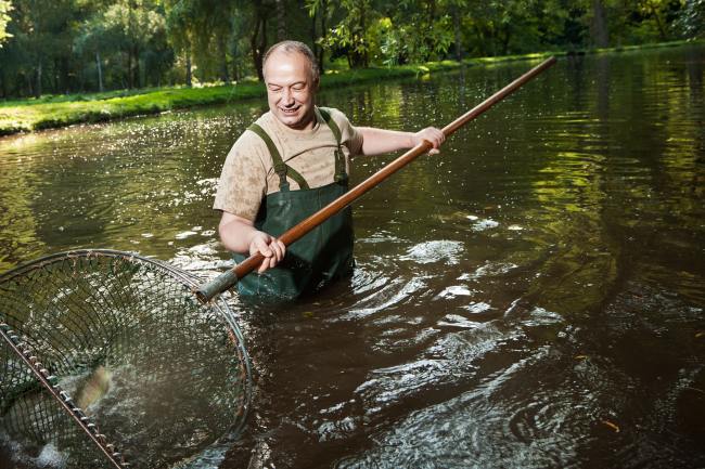 Forellenhof Kirn - Fotografie FORELLE_002
