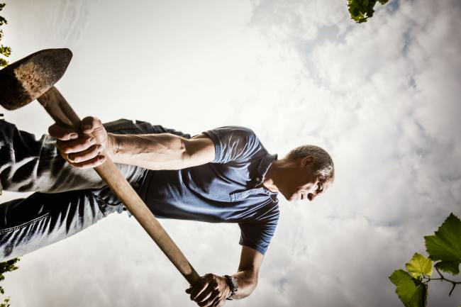 Weik - Produktfotografie, Wein Fotografie WEIK_07_2017