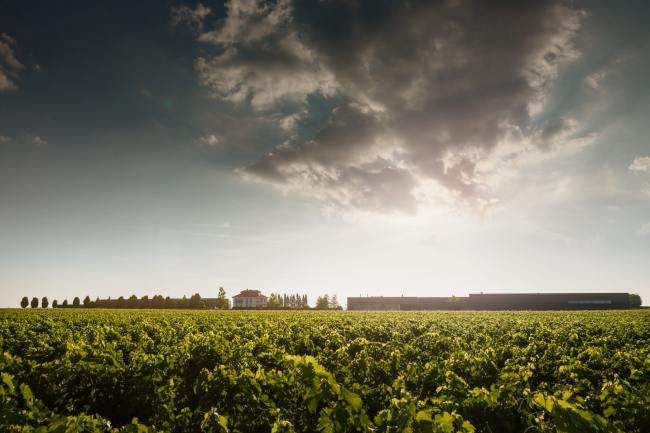 Architektur Fotografie - Black Print BP_005_Landschaftsfotografie