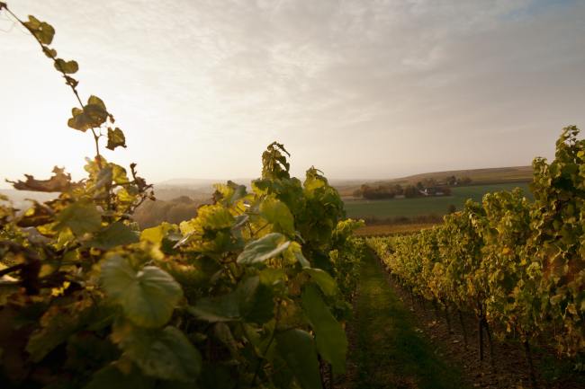Beiser - Fotografie BEISER_002_Landschaftsfotografie