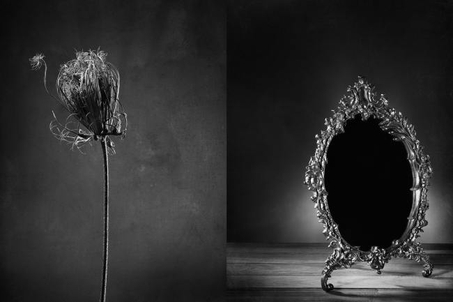 Stills - Stilllifefotografie STILL_009